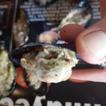 Midyelerin Temiz Olmaması Ve Personelin Olumsuz Yaklaşımı