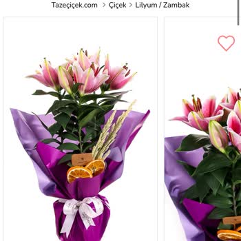 Görsel Uyuşmazlığı Ve Aldatıcı Ürün Gönderimi Nedeniyle Mağduriyet