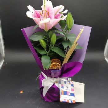 Görsel Uyuşmazlığı Ve Aldatıcı Ürün Gönderimi Nedeniyle Mağduriyet