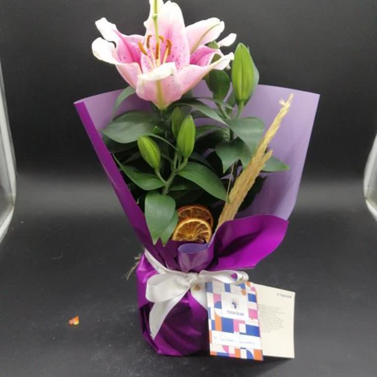 Görsel Uyuşmazlığı Ve Aldatıcı Ürün Gönderimi Nedeniyle Mağduriyet