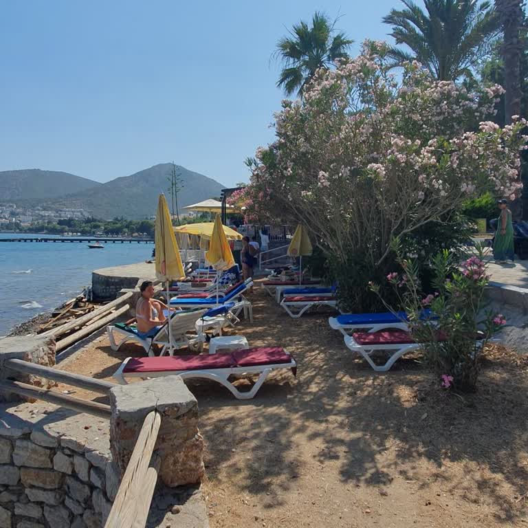 Kafe Tarafından Kamu Alanının İşgal Edilmesi Ve Kullanılamaması