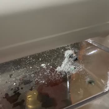 Kurutma Makinesi Tüy Bırakıyor Servis Ve Müşteri Hizmetleri Çözüm Sunmuyor