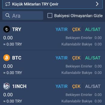 Bitexen Hesabımda Bakiyem Kendiliğinden Sıfırlandı, İşlem Yapamıyorum