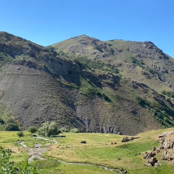 Siparişim 19 Gündür Teslim Edilmedi, Müşteri Hizmetleri Çözüm Sunmuyor