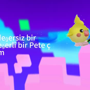 Kurallara Uygun Videom Yüklenmiyor Nedenini Öğrenmek İstiyorum