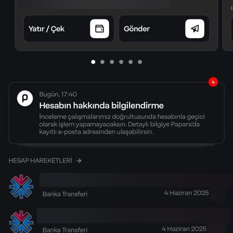 Papara Hesabımdaki Yüksek Bakiyeye 15 Gündür Erişemiyorum