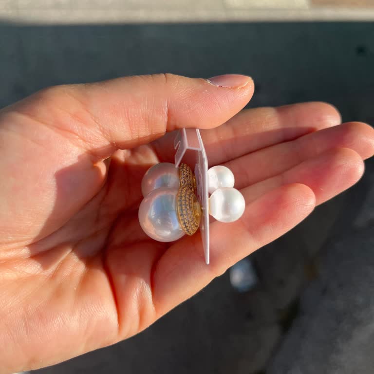 Küpe İadesi Hijyen Gerekçesiyle Reddedildi Müşteri Mağdur Oldu