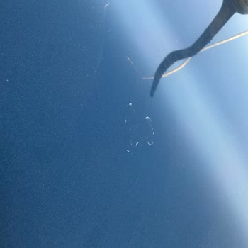 Fiat Egea Cross'ta Boya ve Vernik Sorununa Çözüm Bulunmuyor