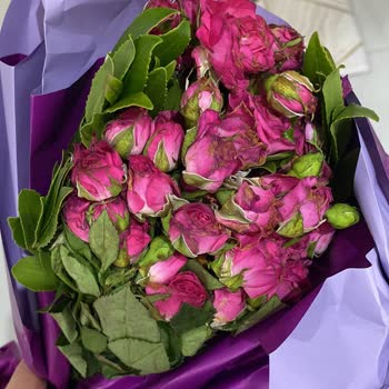 Solmuş Ve Onaysız Çiçek Gönderimi, Yetersiz Müşteri Hizmetleri