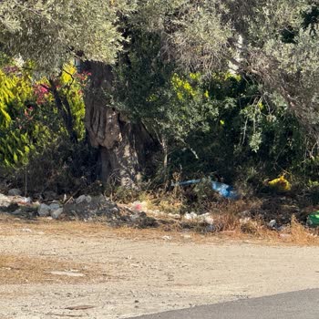 Çeşme'de Çevre Kirliliği, Trafik Sorunu Ve Denetimsizlik