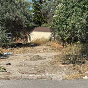 Çeşme'de Çevre Kirliliği, Trafik Sorunu Ve Denetimsizlik