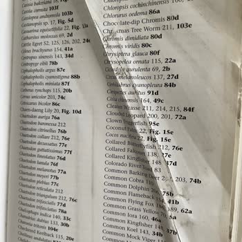 Aras Kargo İle Gelen Değerli Paketim Eksik Ve Hasarlı Ulaştı