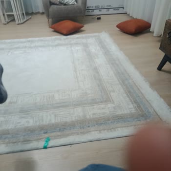 Aldığım Televizyonun Kurulumunda Ve İadesinde Yaşanan Sorunlar