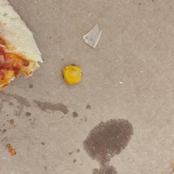 Pizzadan Çıkan Cam Parçası Küçük Çocuğumun Hayatını Tehlikeye Attı