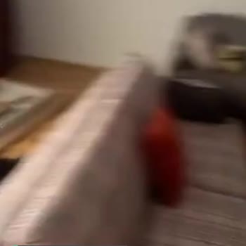 Kelebek Mobilya Ciddiyetsizliği