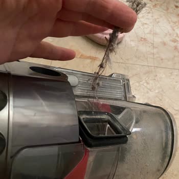 Dyson Süpürgemin Kötü Kokusu Ve Çözülmeyen Sorunları