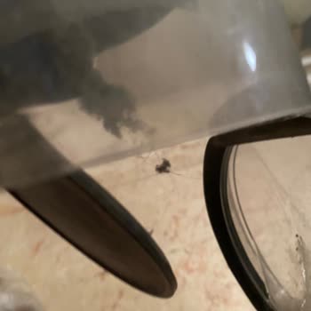 Dyson Süpürgemin Kötü Kokusu Ve Çözülmeyen Sorunları
