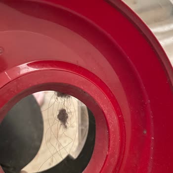 Dyson Süpürgemin Kötü Kokusu Ve Çözülmeyen Sorunları