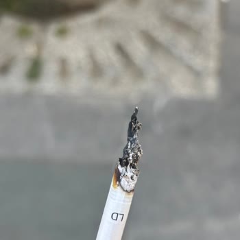 Sigaranın İçinden Talaş Ve Odun Parçaları Çıkıyor, Kalite Kontrol Yok