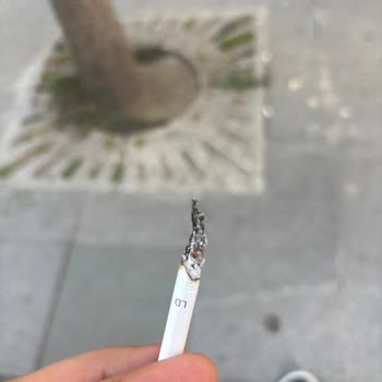 Sigaranın İçinden Talaş Ve Odun Parçaları Çıkıyor, Kalite Kontrol Yok