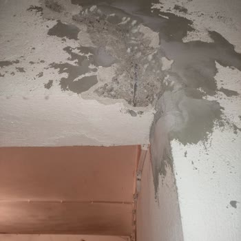 DASK Ve Sigorta Mağduriyeti: Hasar Sonrası Çözüm Bulamıyoruz