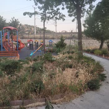 Parkta Aşırı Ot Ve Sinek Nedeniyle Keyif Alamıyoruz