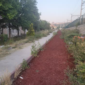 Parkta Aşırı Ot Ve Sinek Nedeniyle Keyif Alamıyoruz