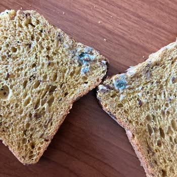 Küflü Ürün Teslimatı Sonrası Hesabım Haksız Yere Kapatıldı!