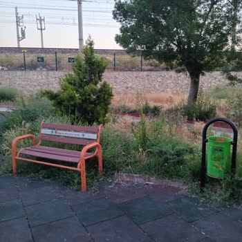 Kayas Pazar Altı Parkında Yetersiz Temizlik Ve İlaçlama Sorunu