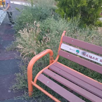 Kayas Pazar Altı Parkında Yetersiz Temizlik Ve İlaçlama Sorunu