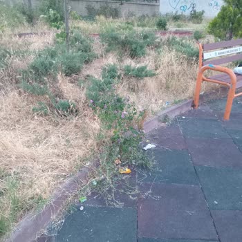 Kayas Pazar Altı Parkında Yetersiz Temizlik Ve İlaçlama Sorunu