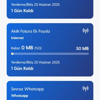 Sosyal Medya Ve Normal İnternet Kotasının Yanlış Eksilmesi, Yetersiz Müşteri Hizmeti Ve Yüksek Cayma Bedeli