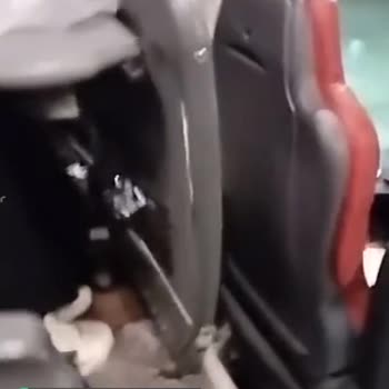 Has Turizm Koridorda Kedi Puseti Ve Koşu
