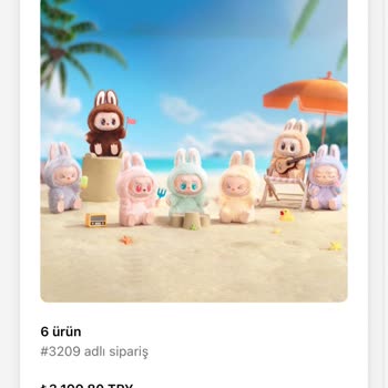 Labubu Siparişim 19 Gündür Teslim Edilmedi, Firmadan Yanıt Alamıyorum