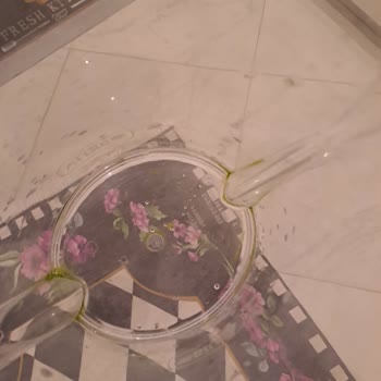 Brita Sürahide Kalıcı Yosunlaşma Sorunu Çözülmüyor