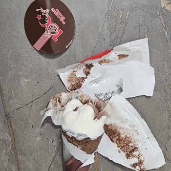 Atatürk Orman Çiftliği Tuzlu Dondurma Nedeniyle Yaşanan Hayal Kırıklığı Ve Mağduriyet