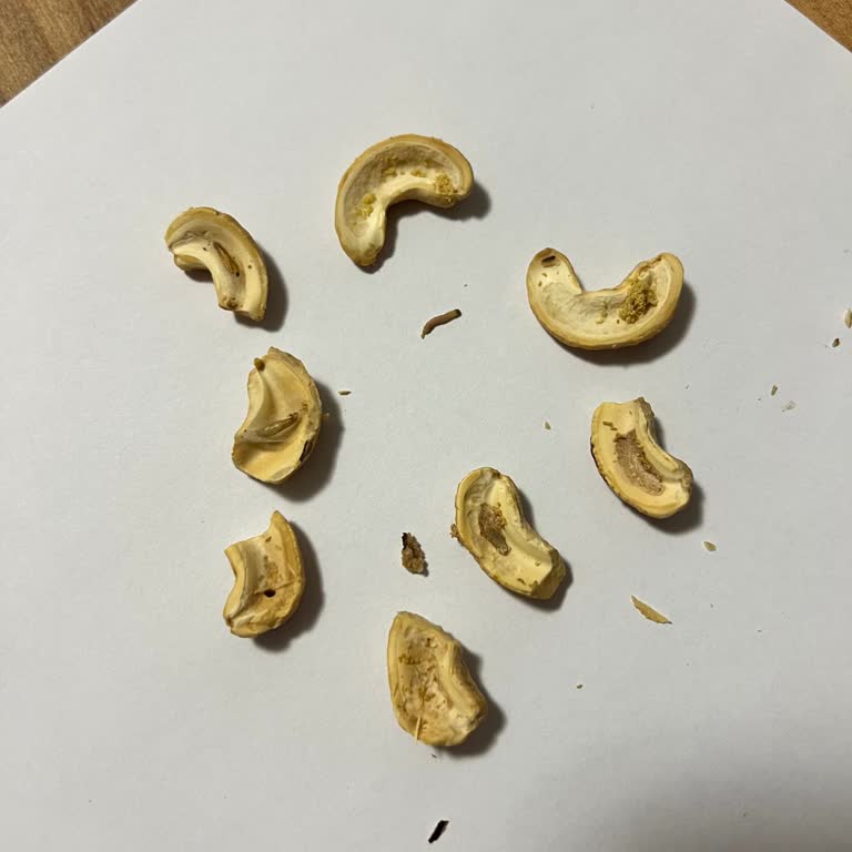 Aldığım Kaju Ürününün Kurtlanmış Ve Tüketilemez Olması Hakkında Şikayetim