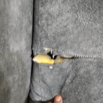 Hoşver Mobilya Aldığım Koltuklar Kısa Sürede Deforme Oldu, Mağaza İlgisiz