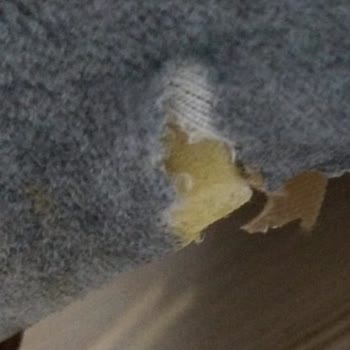 Hoşver Mobilya Aldığım Koltuklar Kısa Sürede Deforme Oldu, Mağaza İlgisiz