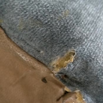 Hoşver Mobilya Aldığım Koltuklar Kısa Sürede Deforme Oldu, Mağaza İlgisiz