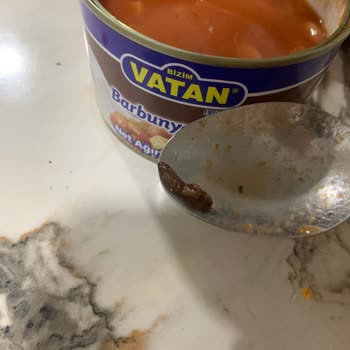 Konserve Barbunya Pilaki İçerisinden Kurt Çıkması