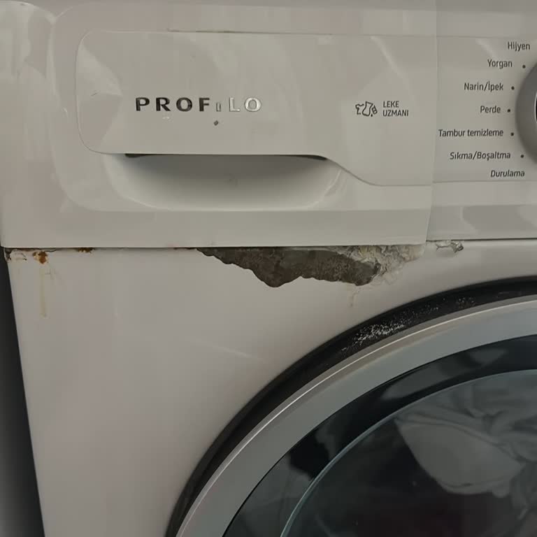 Profilo Çamaşır Makinesinde Paslanma Sorunu Çözülmüyor