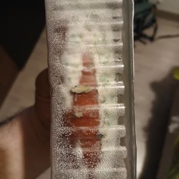 Bozuk Sucuk İçin Değişim Talebim Reddedildi