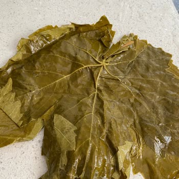 Aldığım Ürün Görseldekinden Tamamen Farklı Ve İade Talebim Engellendi