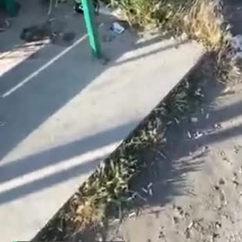 Sakarya Büyükşehir Belediyesi Durakların Hali Çok Kötü!