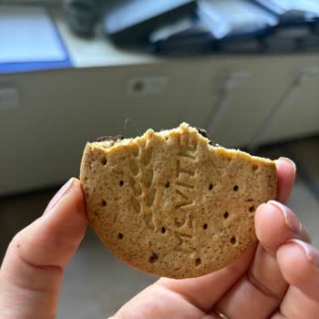 Aldığım Bisküviden Saç Çıktı, Hayal Kırıklığına Uğradım