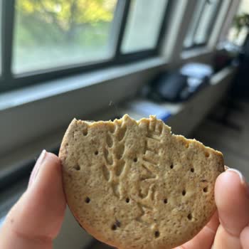 Aldığım Bisküviden Saç Çıktı, Hayal Kırıklığına Uğradım