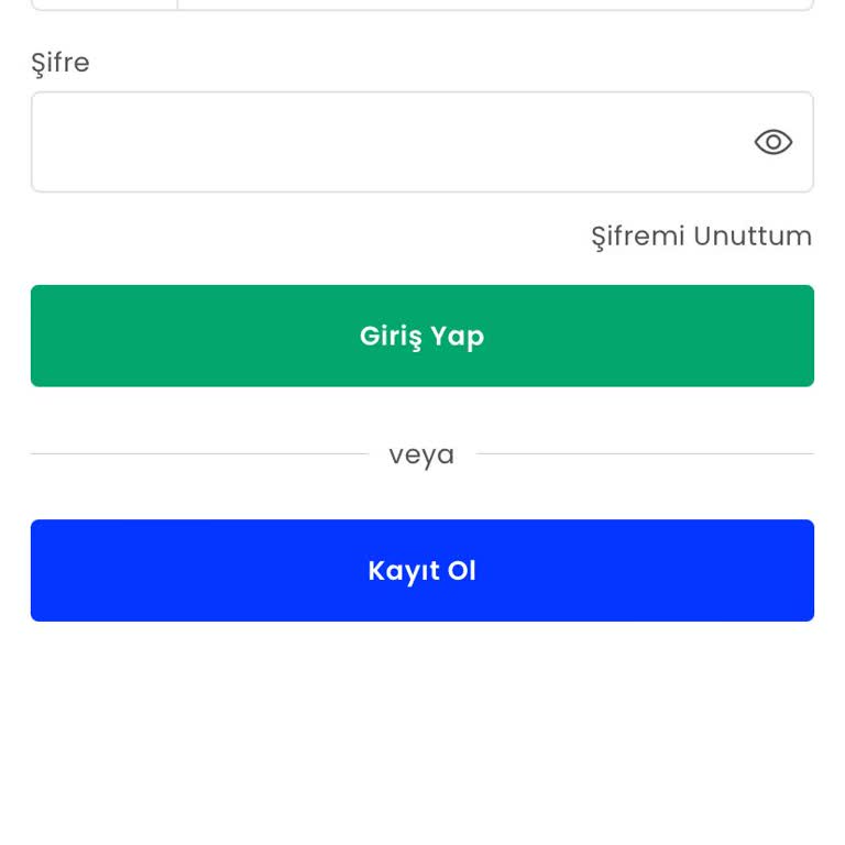 Dört Aydır Hesabıma Erişemiyorum, Destek Alamıyorum
