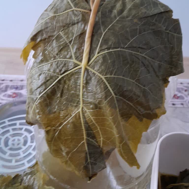 Saklı Bahçem Köy Ürünleri