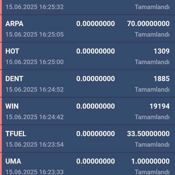 Bitexen Hesabımdaki Tüm Coinler 40 Dakikada Çekildi Ulaşamıyorum